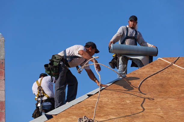 Quick and Trustworthy Emergency Roof Repair Services in Round Lake Park, IL
