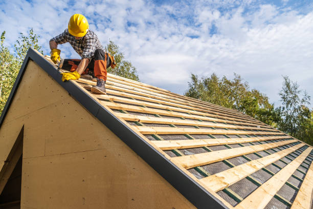 Best Local Roofing Companies  in Round Lake Park, IL