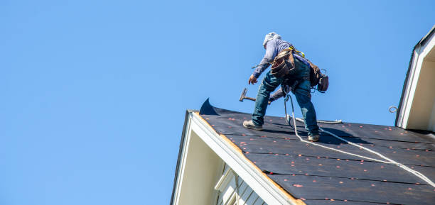 Best Commercial Roofing Services  in Round Lake Park, IL